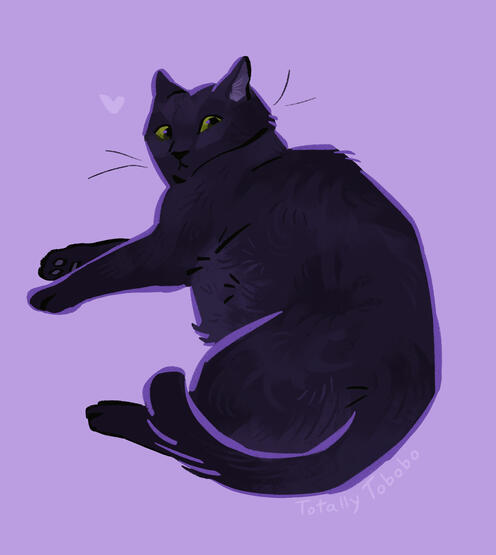 black cat black cat