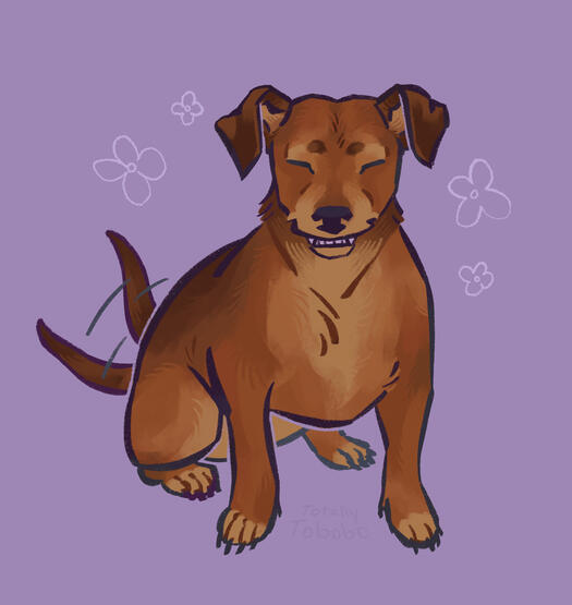 small dog