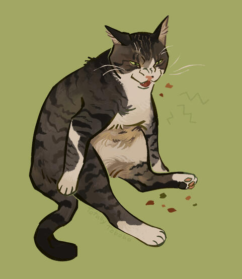 tabby cat